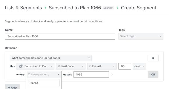 A segment relying on WooCommerce subscription data