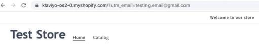Test Store (Test de boutique) de Shopify avec ?utm_email=example@gmail.com ajouté à l’URL