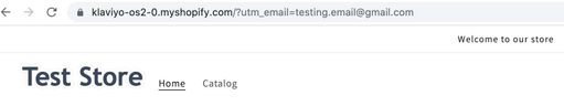 Shopify test store with ?utm_email=example@gmail.com appended to URL