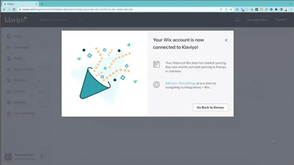Image shows a success message from the Klaviyo dashboard.