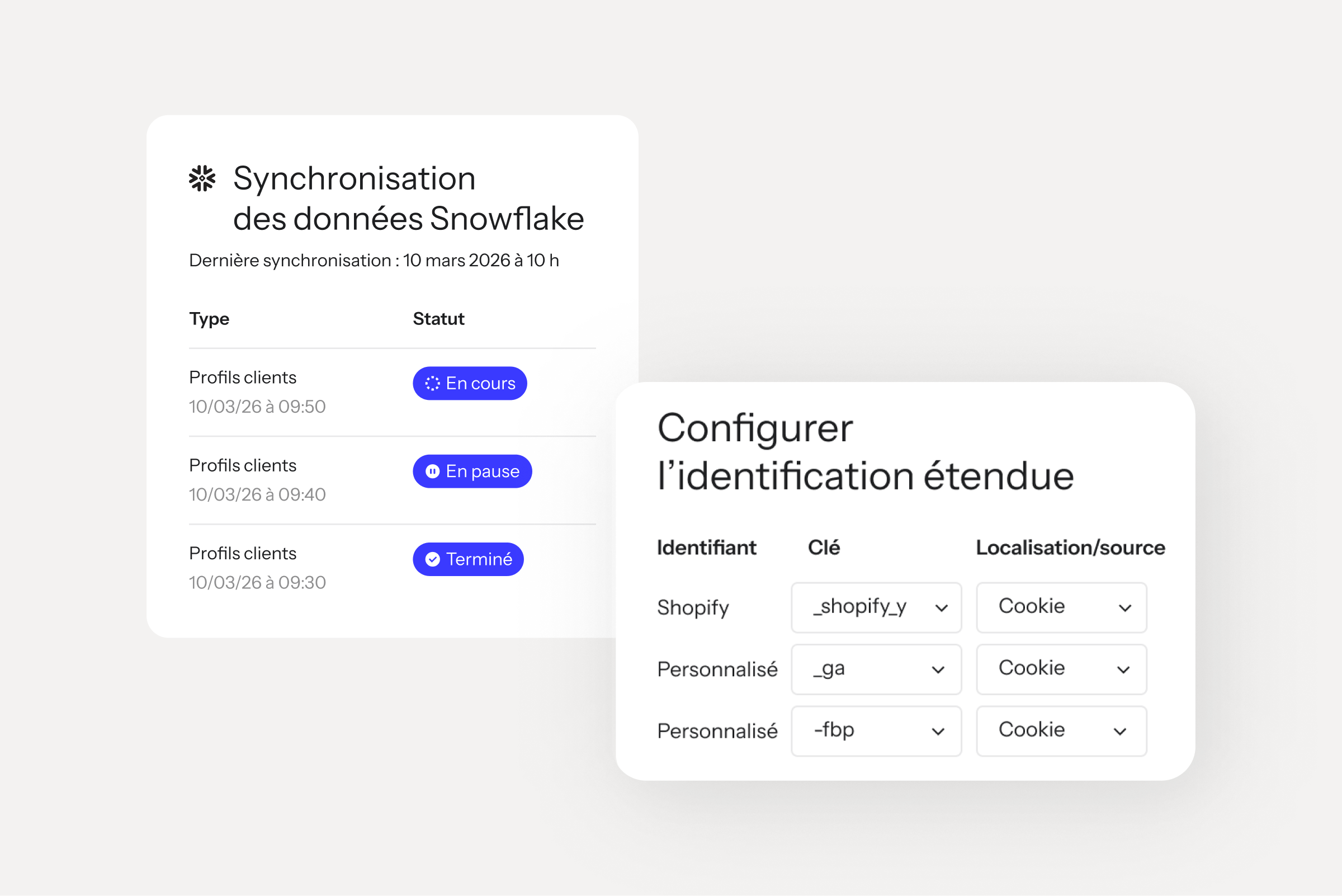 Interface cards showing Snowflake data sync statuses and Extended ID setup fields.