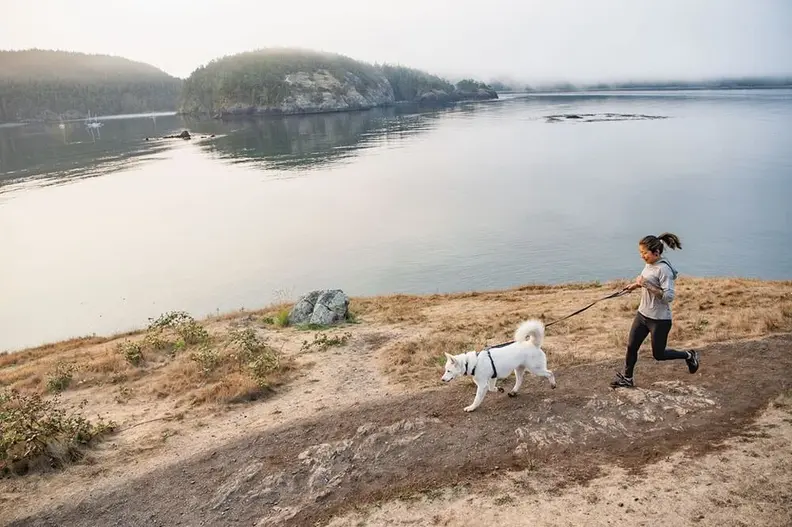 Ruffwear uses Klaviyo Marketing Analytics to drive incremental revenue and improve margins