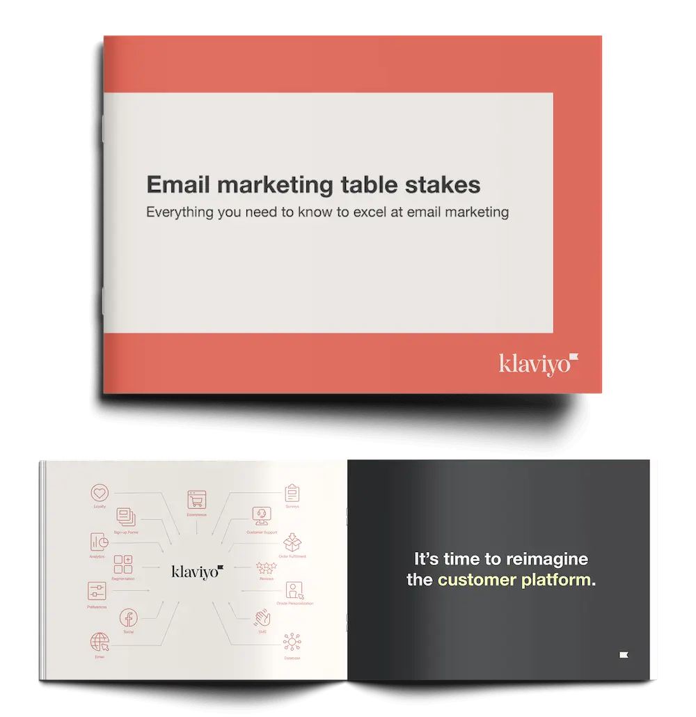 An example of a Klaviyo book the email marketing table stakes guide