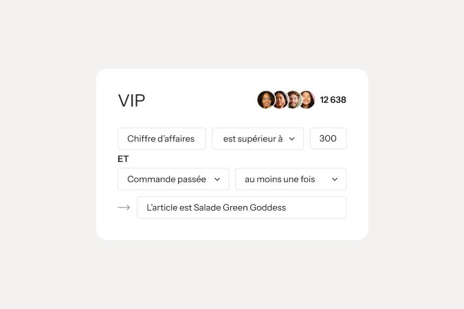 VIP customer segment filtered by revenue over 300 and at least one order of Green Goddess Salad.