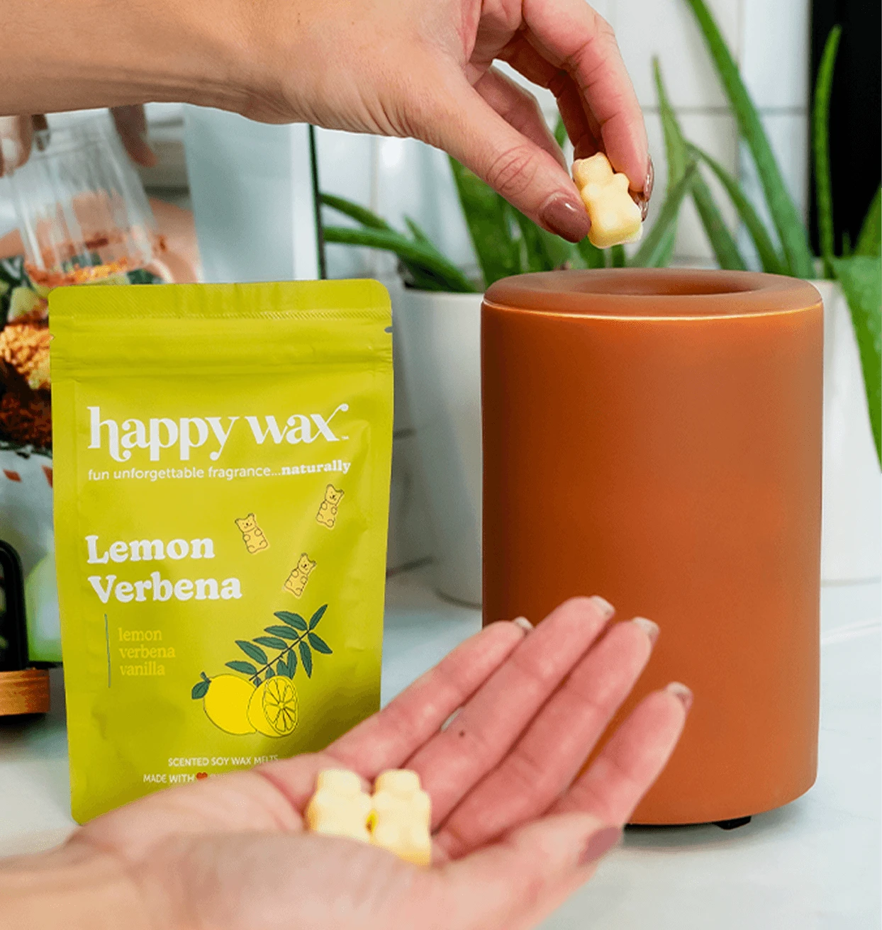 Hand placing a bear-shaped Lemon Verbena wax melt into a terracotta warmer beside its bright yellow pouch.