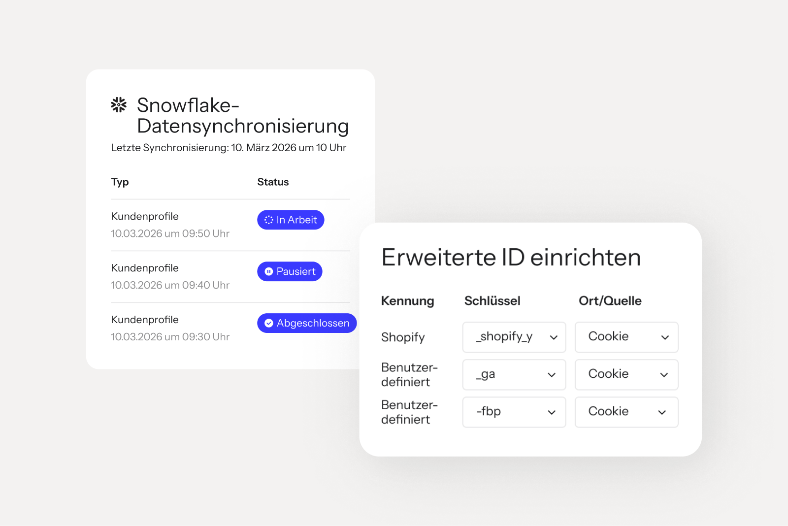 Interface cards showing Snowflake data sync statuses and Extended ID setup fields.