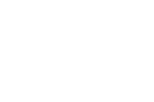 The Golden Duck logo