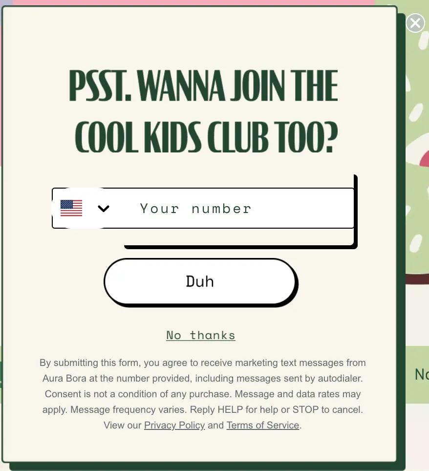 Image shows a multi-step form to collect both email and phone numbers.