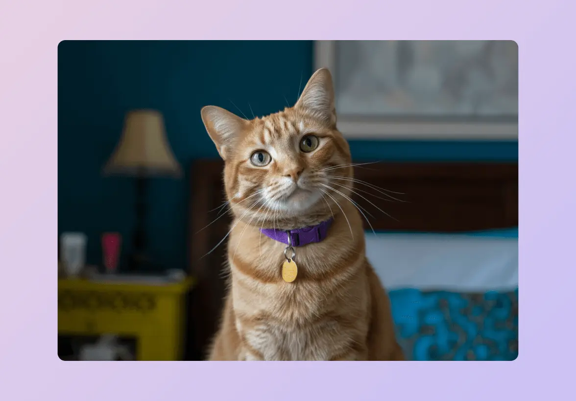 Ginger cat with a purple collar and tag sitting indoors, looking at the camera.
