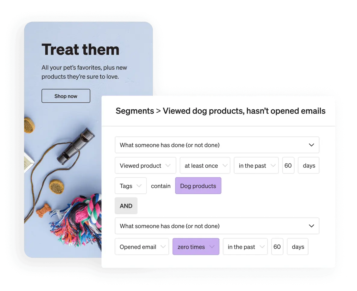 Email marketing segmentation of audience in Klaviyo platform