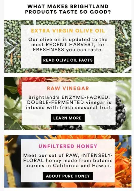 A three-panel email, with each panel featuring its own image: raw olives on vines at the top, berries in the middle, and flowers at the bottom. Each panel is associated with a product feature, such as extra virgin olive oil, raw vinegar, and unfiltered honey. At the top, a header reads, “What makes Brightland products taste so good?”