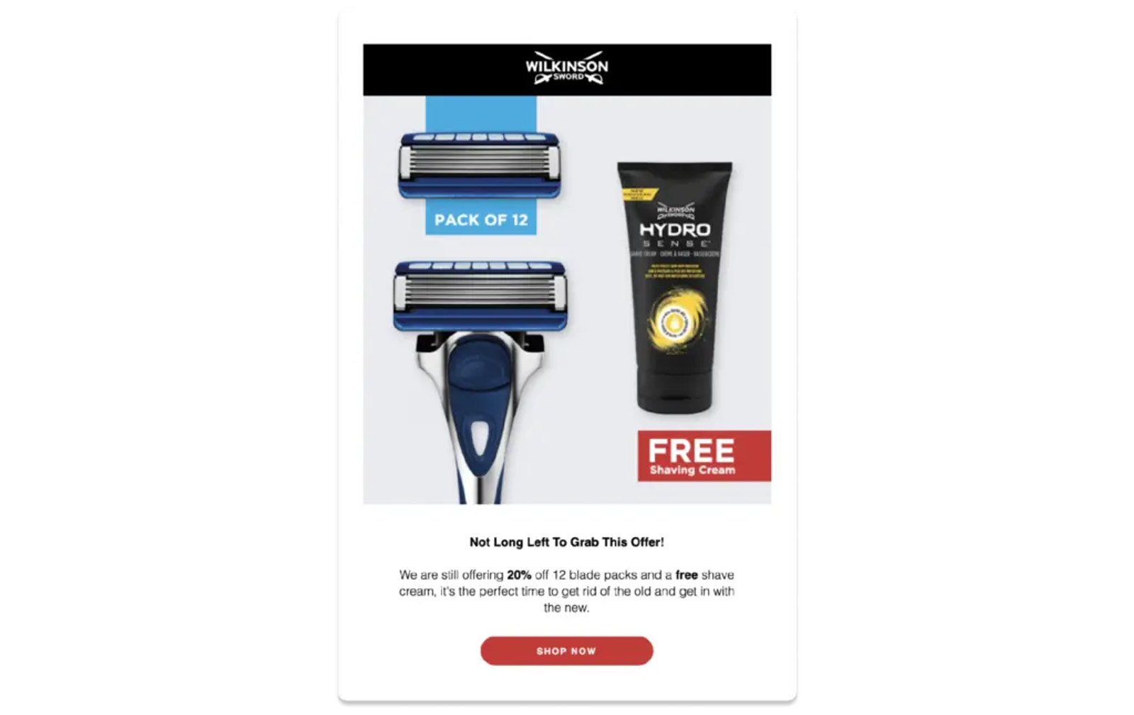 Screenshot di una campagna e-mail di Wilkinson Sword