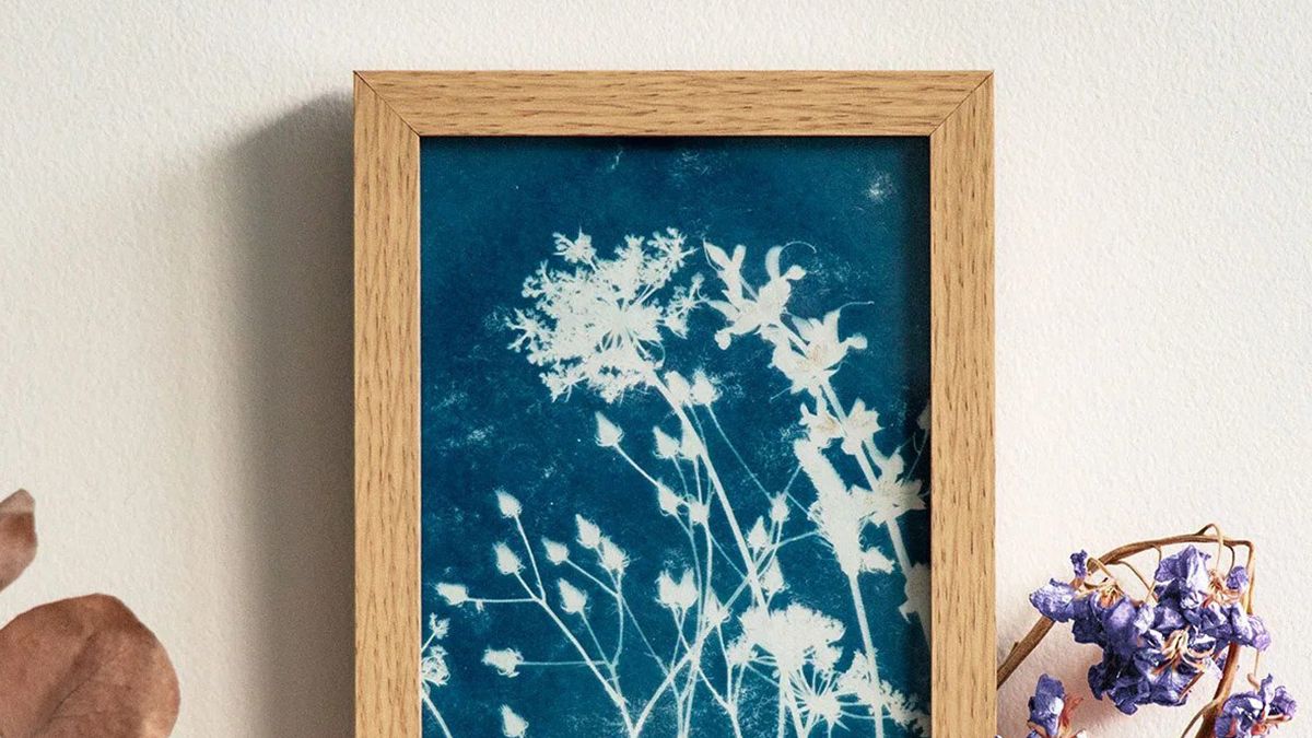 How Les Raffineurs saves time with Klaviyo’s PrestaShop integration while managing multiple storefronts