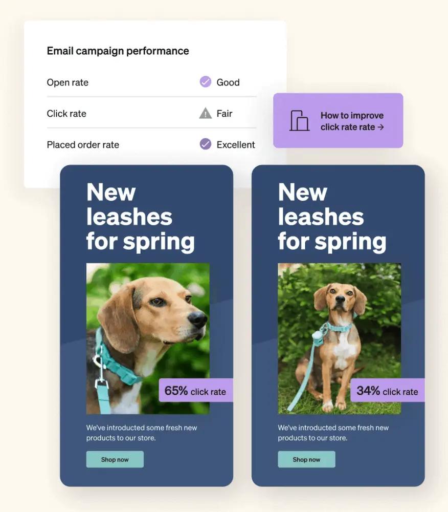 Image shows an example of an A/B test you can run within Klaviyo: two different pet store emails featuring the same copy, but different images of a dog.