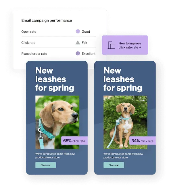 The Klaviyo dashboard displays email campaign performance data above two A/B tested email designs.