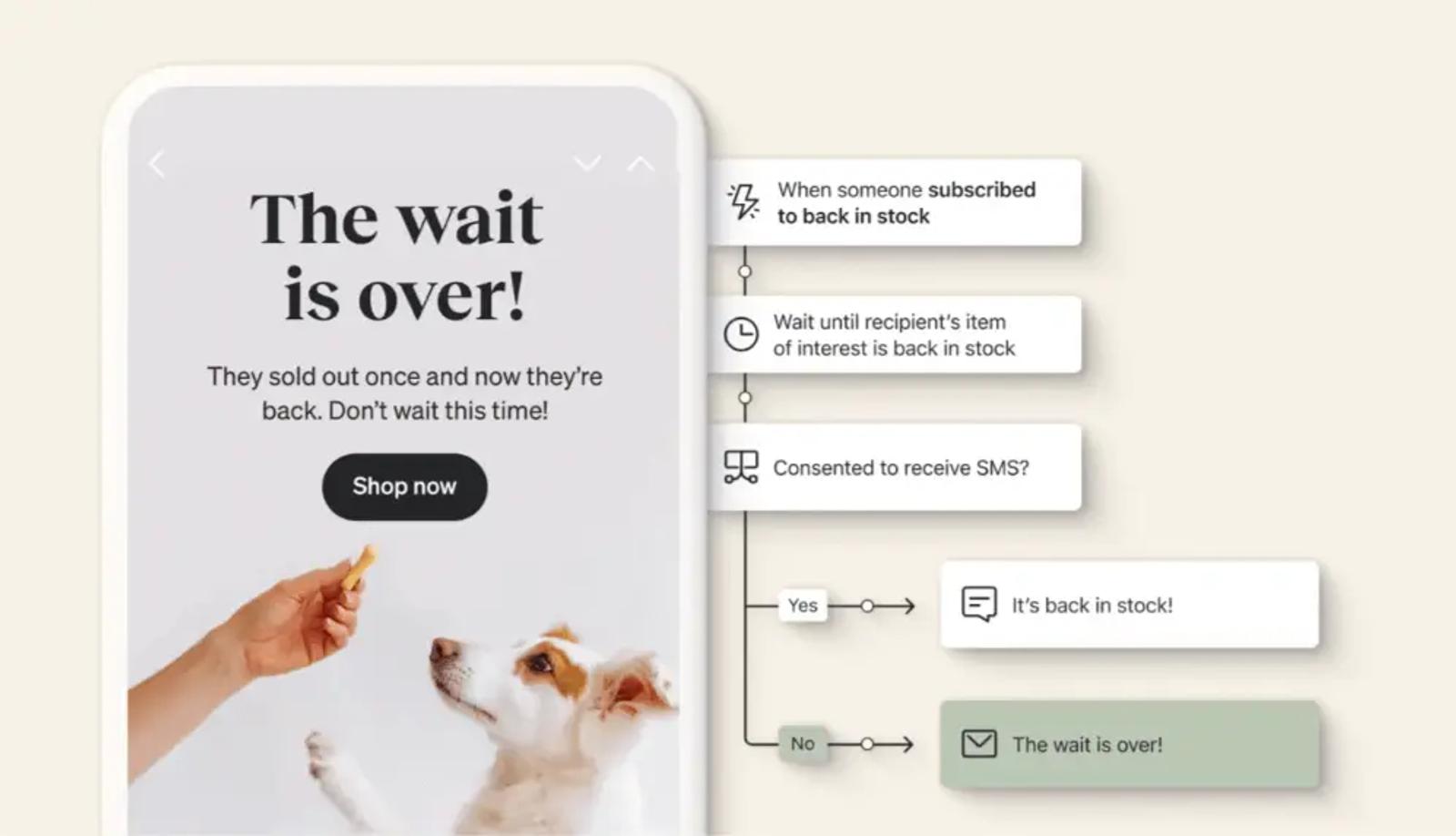 Image shows an example of a back-in-stock email for a segment of customers who are “subscribed to back in stock” and have not consented to receive SMS. The email reads, “The wait is over!” over a product shot of a dog standing on its hind legs for a treat.