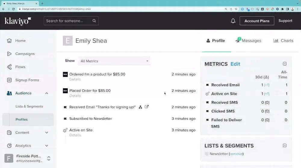 Image shows a customer profile within the Klaviyo dashboard.