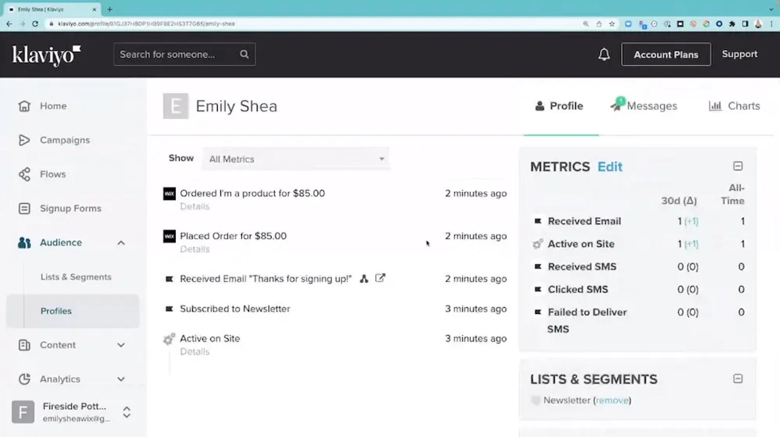 Image shows a customer profile within the Klaviyo dashboard.