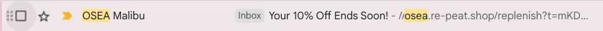 Image shows a screenshot of an email subject line from skincare brand OSEA Malibu, which reads, “Your 10% Off Ends Soon!”