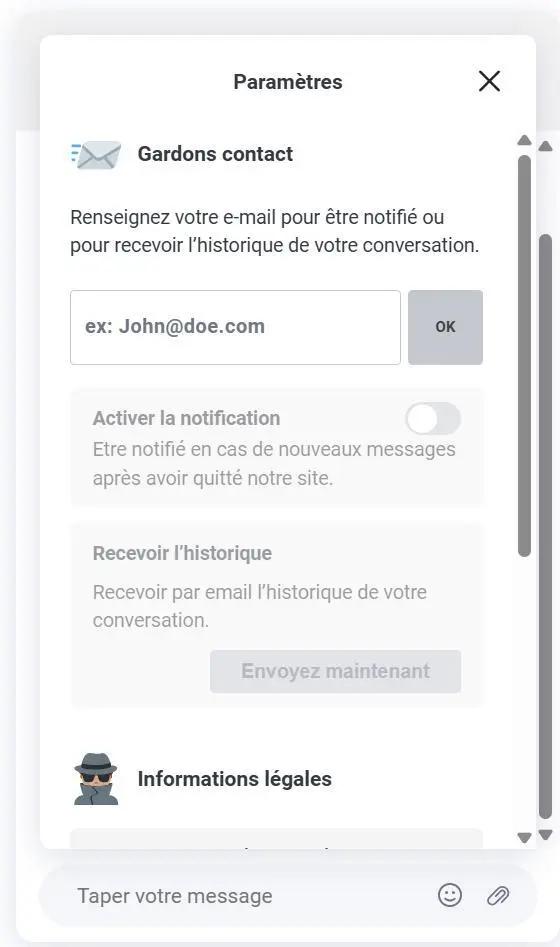Capture d’écran de l’interface permettant aux utilisateurs d’entrer leur e-mail pour suivre la conversation ou recevoir son historique par email.