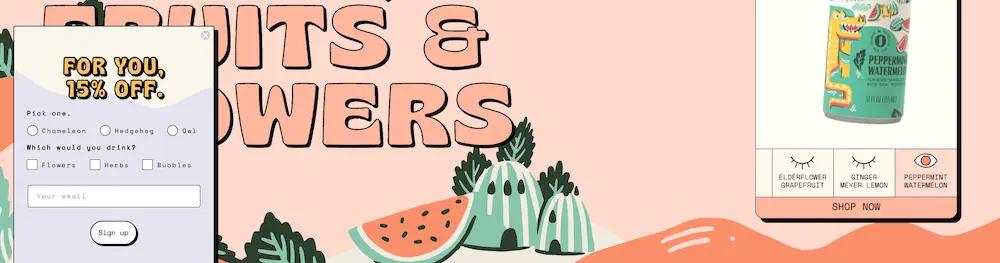 Image shows a fly-out form on the Aura Bora website. The form appears in the lower left corner so that the shopper can still view most of the webpage.