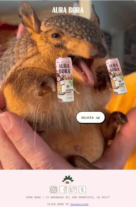 Image shows an email from herbal water brand Aura Bora, featuring a single image of a baby armadillo holding a can of Aura Bora in each hand. The simple CTA reads, “double up.”