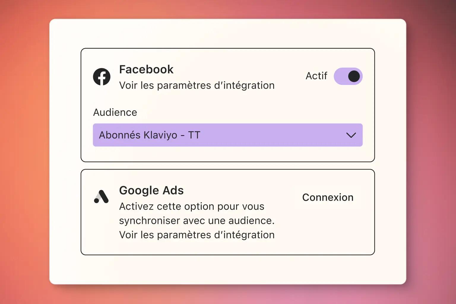 Paramètres d'intégration pour Facebook et Google Ads, avec options d'audience et de connexion.