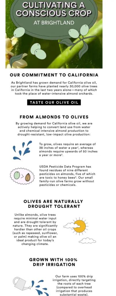 Image shows an example of conscious consumerism by an ecommerce brand.