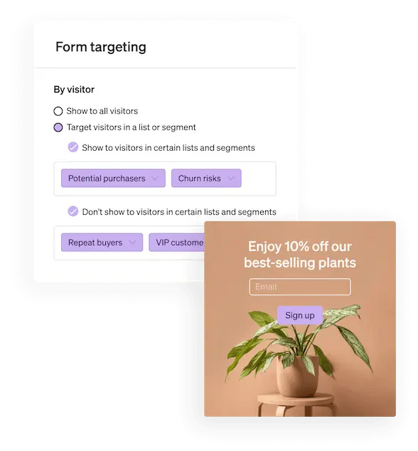 Email targeting with custom form builder