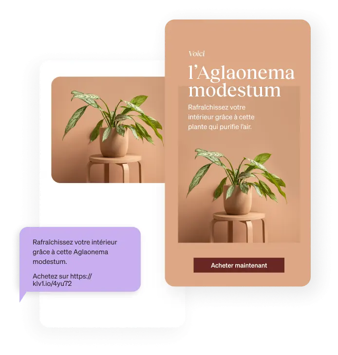 An email and text marketing messaging for purchasing a Chinese Evergreen plant