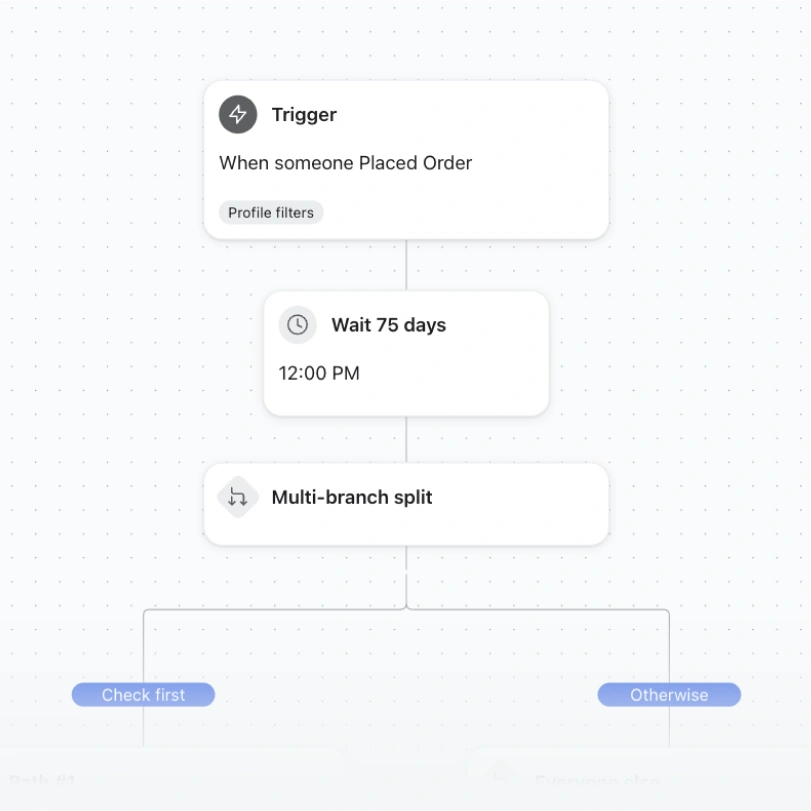Automation flow: placed order trigger, 75-day wait at noon, then a multi-branch split.