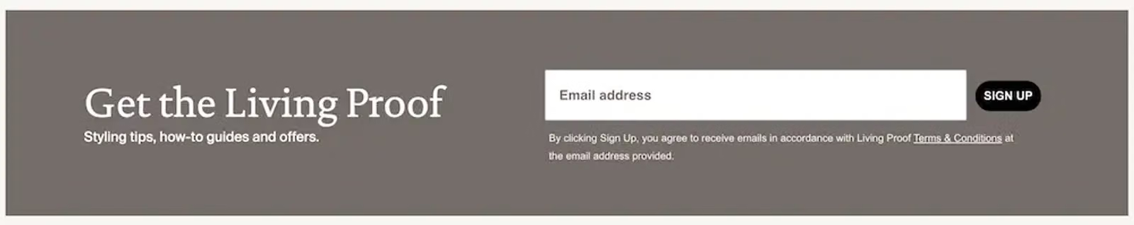 Image shows an embedded form in the footer of the Living Proof website, encouraging visitors to enter their email address to sign up for styling tips, how-to guides, and other offers.