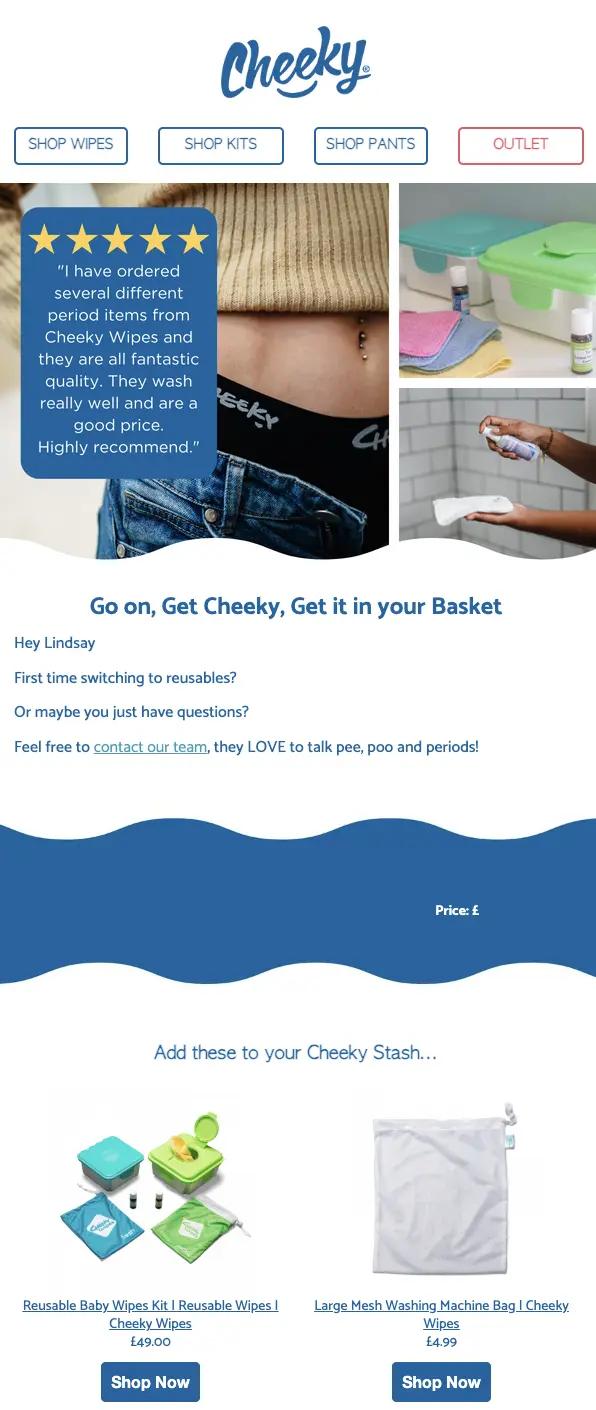 Image shows a browse abandonment email from Cheeky Wipes