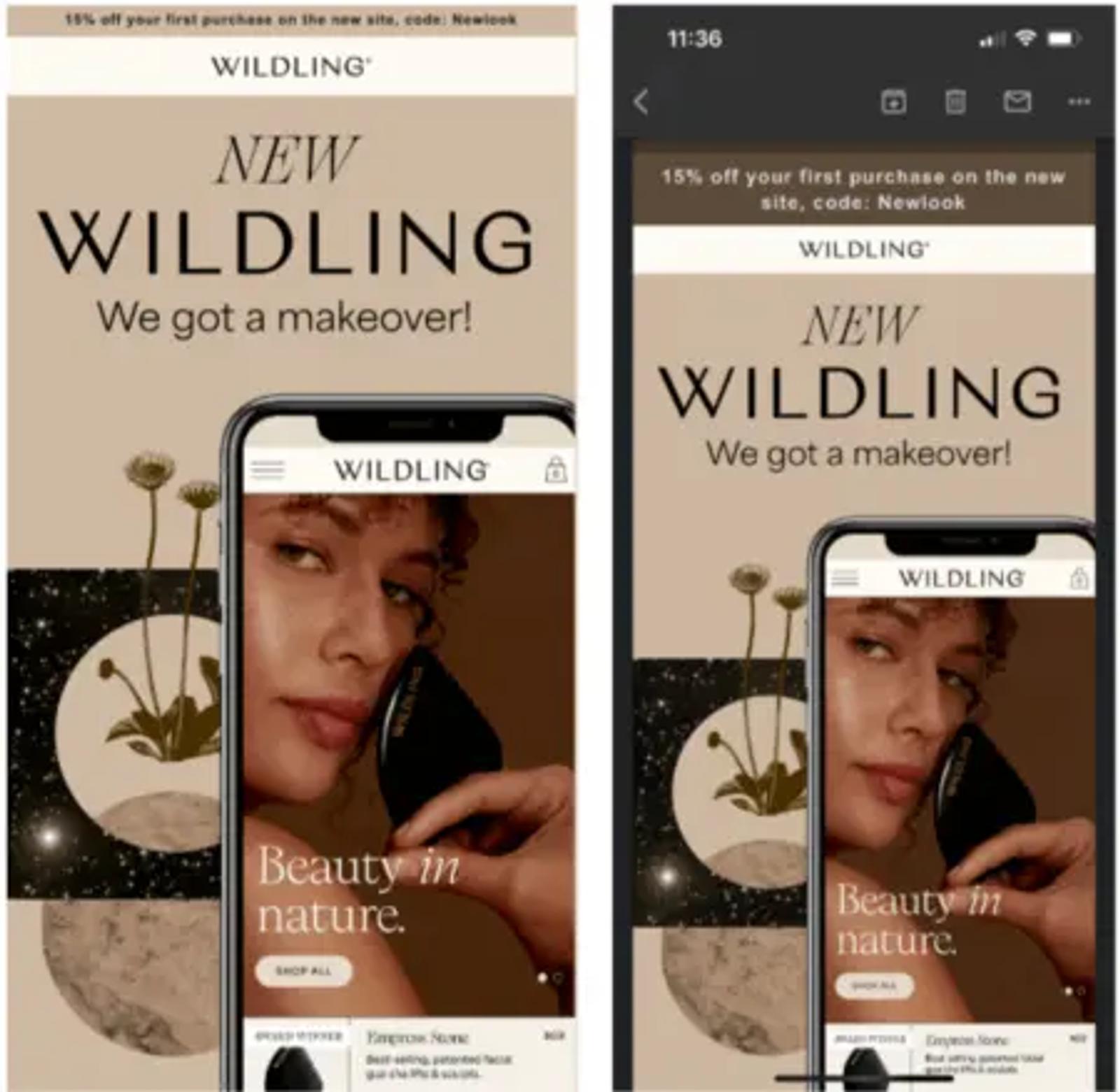 Image shows the same Wildling marketing email twice—on the left it’s in light mode, on the right, it’s in dark mode.