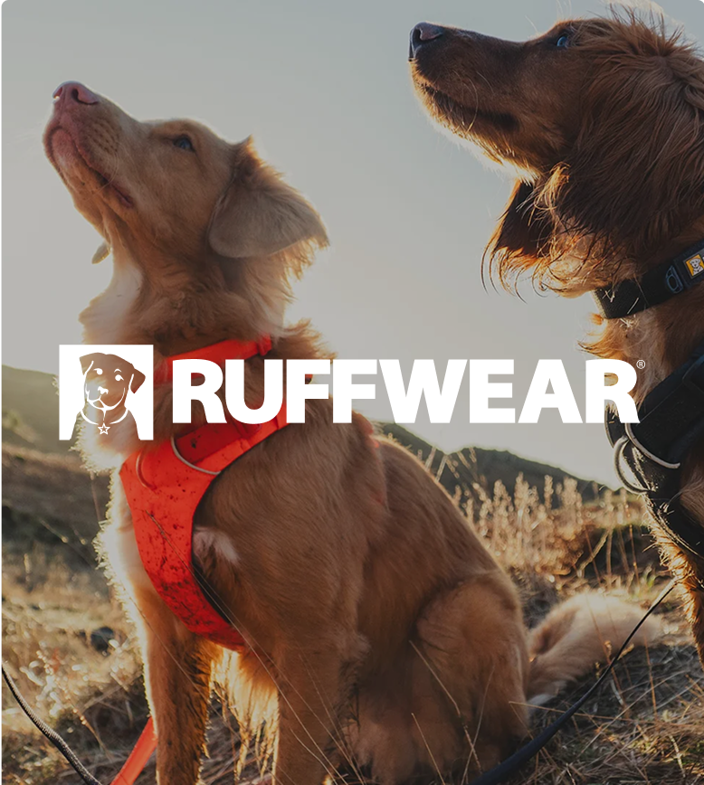Two dogs in harnesses look up outdoors, with the white "RUFFWEAR" logo overlaid.