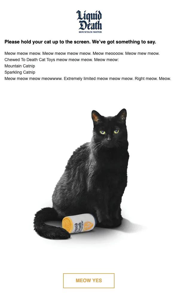 Image shows an email that includes humor.