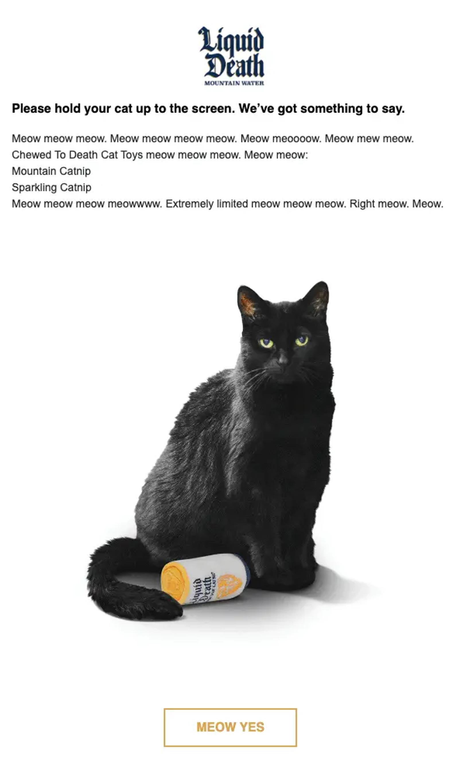 Image shows an email that includes humor.