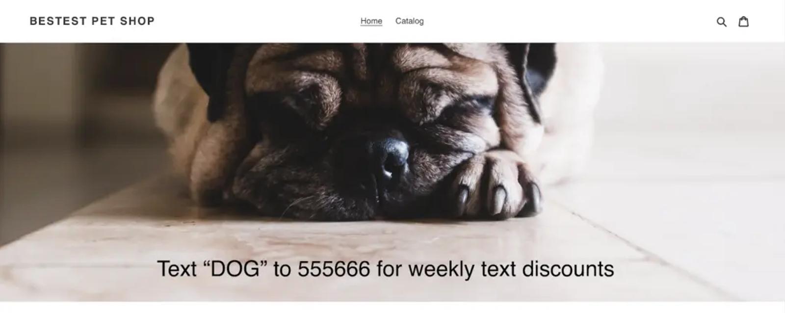 Image shows an example of an SMS message with a dog.