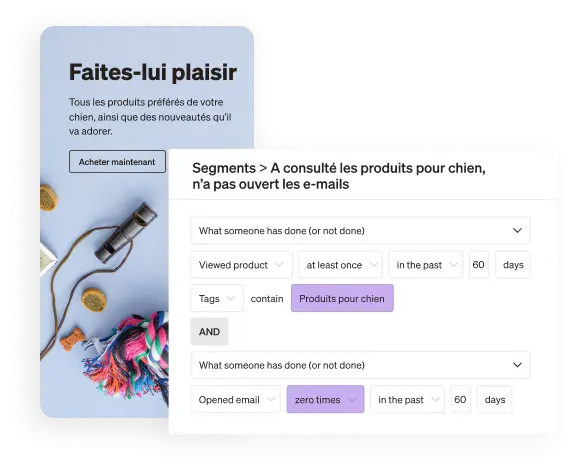 Snapshots of two screens showcase how a brand can use Klaviyo to reach customers via SMS and email marketing