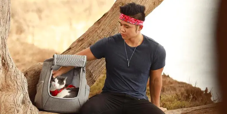 How Travel Cat increased email revenue by 49% switching from Mailchimp to Klaviyo