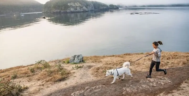 Ruffwear uses Klaviyo Marketing Analytics to drive incremental revenue and improve margins