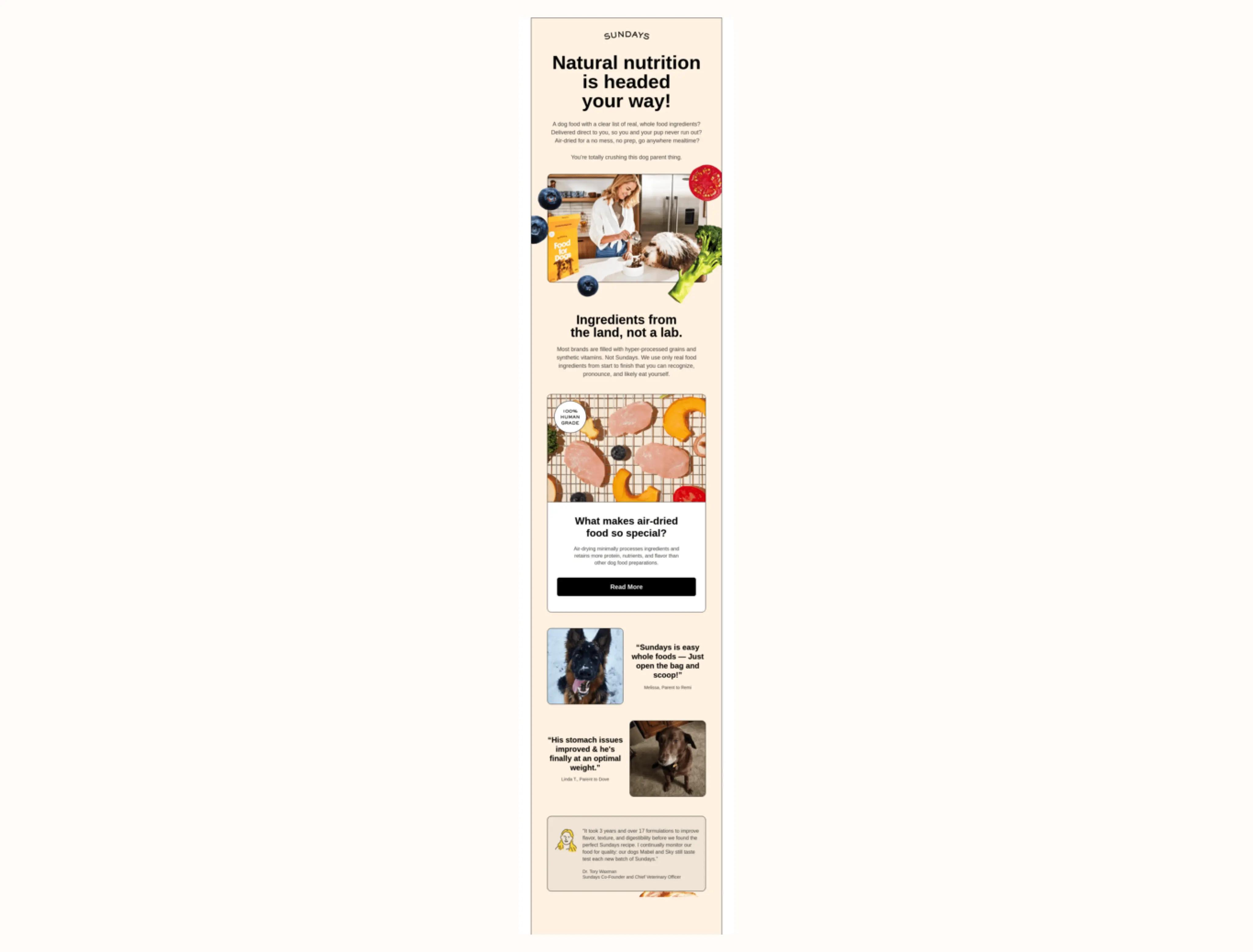 Image shows an email with a headline that reads, “Natural nutrition is headed your way!” Underneath is a picture of a blond, light-skinned person feeding a large, shaggy dog. Underneath is an additional photo of various air-dried pieces of dog food on a rack. Two images of large brown dogs follow, each with an accompanying customer review.