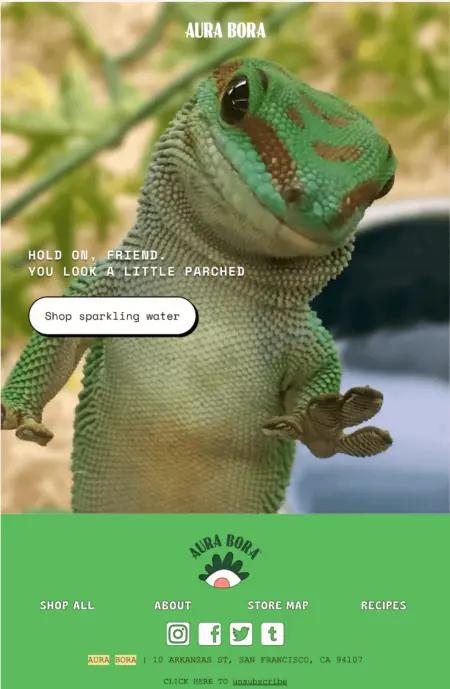 Image shows a minimalist, on-brand email from AURA BORA with high quality images and white space in the CTA button.