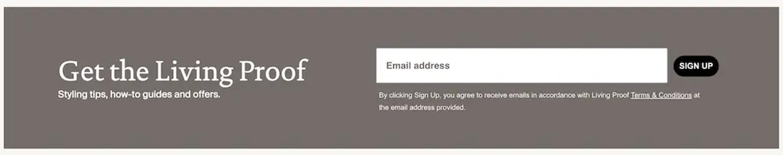 Image shows an embedded form in the footer of the Living Proof website, encouraging visitors to enter their email address to sign up for styling tips, how-to guides, and other offers.