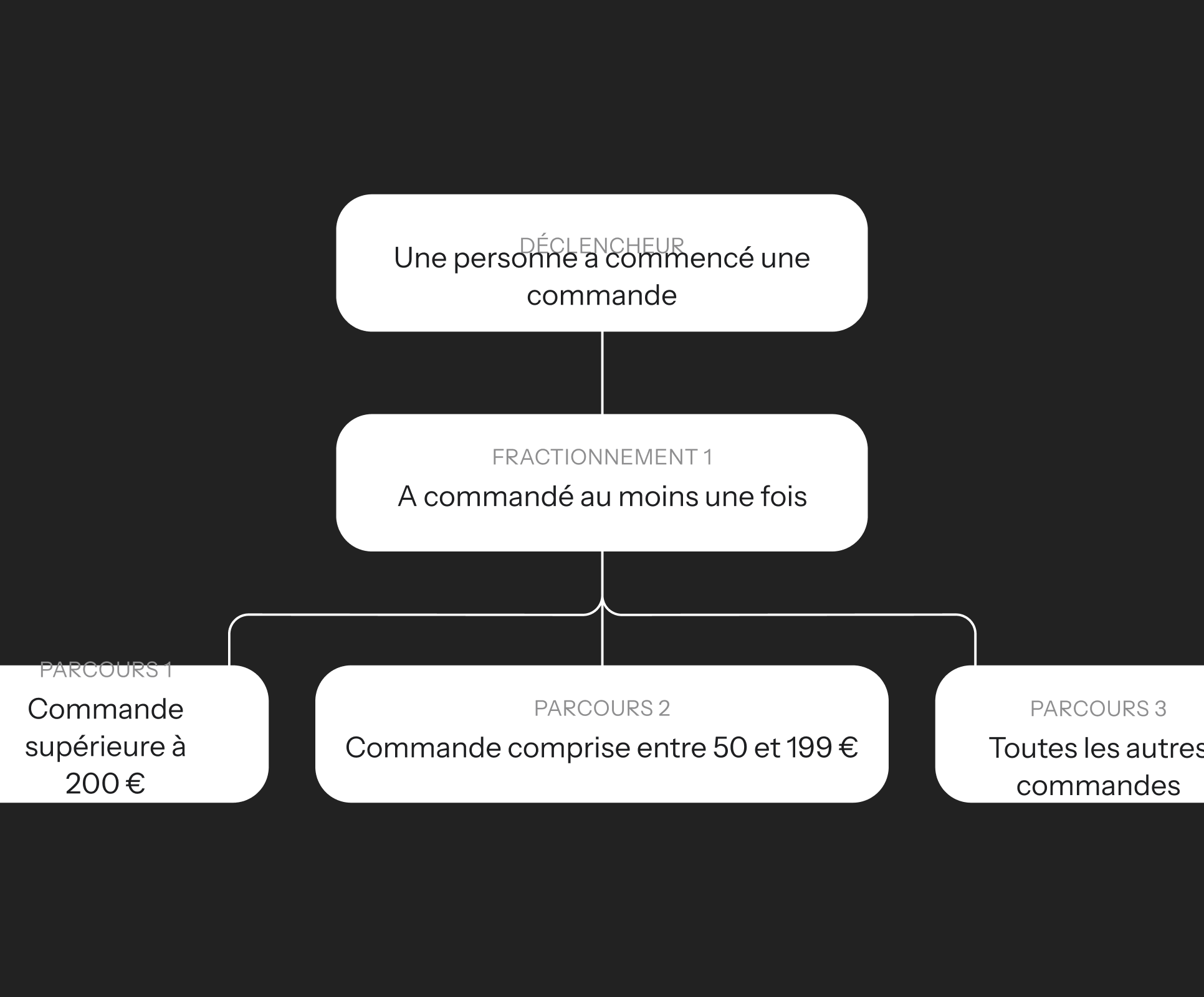 French flowchart depicting customer segmentation by order value: over €200, between €50 and €199, and other orders.
