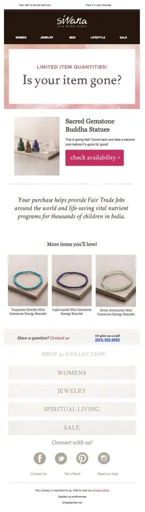 Email uses a sense of urgency to get potential shoppers to return to the website and shop.