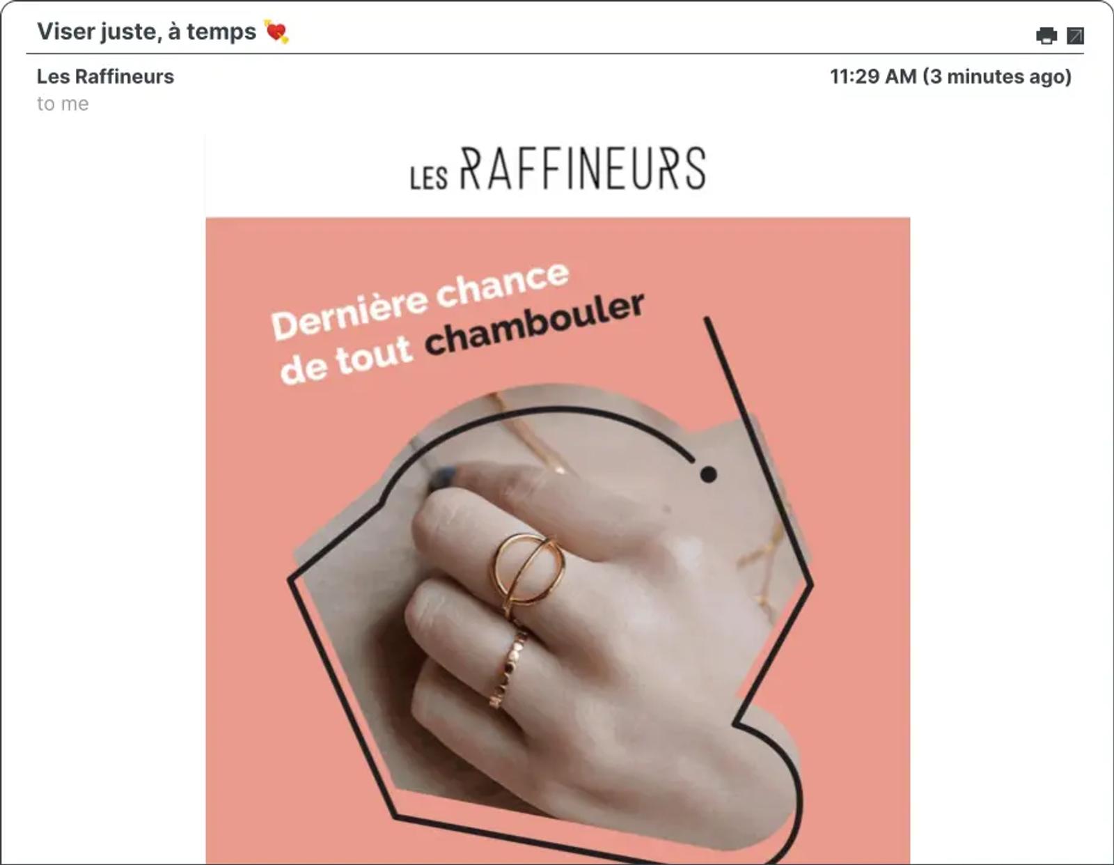 Captura de pantalla de una campaña de correo electrónico de Les Raffineurs.