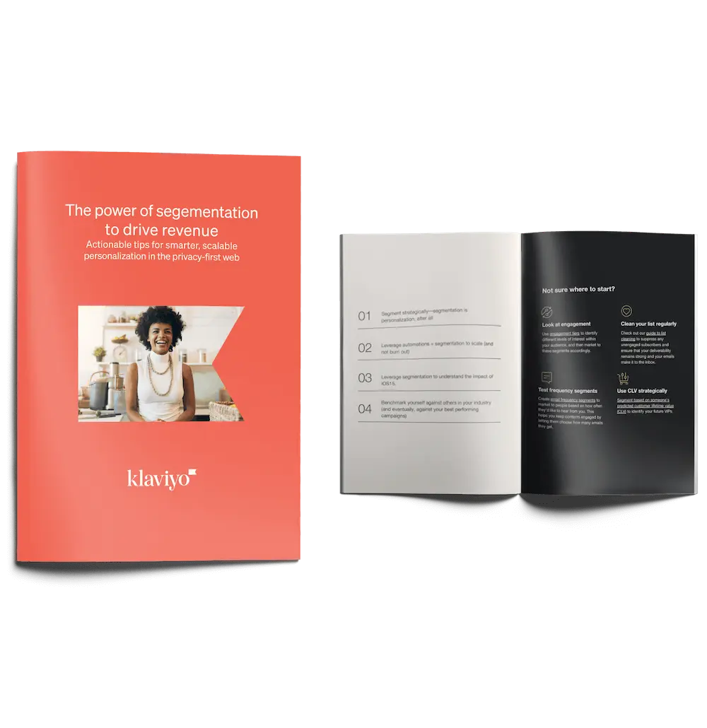 Klaviyo book example of The power of segmentation to drive revenue