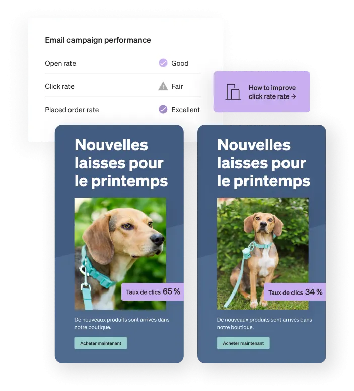 The Klaviyo dashboard displays email campaign performance data above two A/B tested email designs.