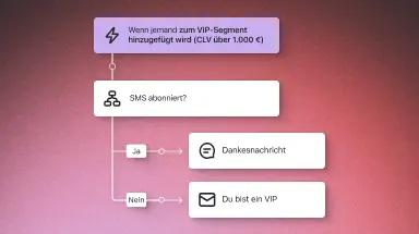 Flussdiagramm zur Kundenkommunikation: VIP-Segment, SMS-Abonnement, Dankesnachricht oder VIP-Benachrichtigung.